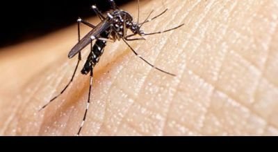 Dengue: Piden reforzar el descacharrado en los hogares luego de las lluvias