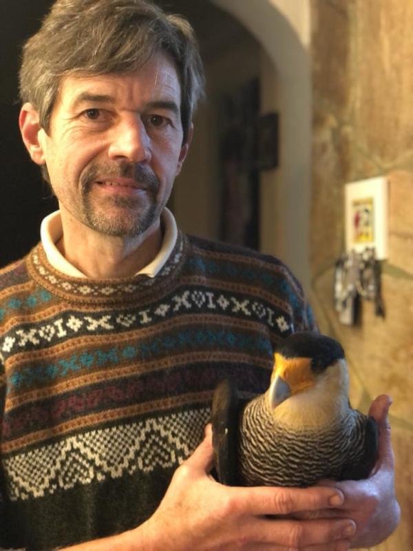 Veterinario salvó a un carancho herido y tras curarlo lo liberó en su hábitat natural