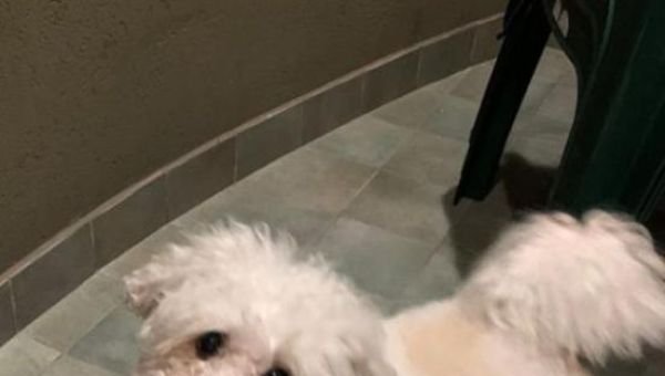 Regresaron a Catalina y está nuevamente con su familia