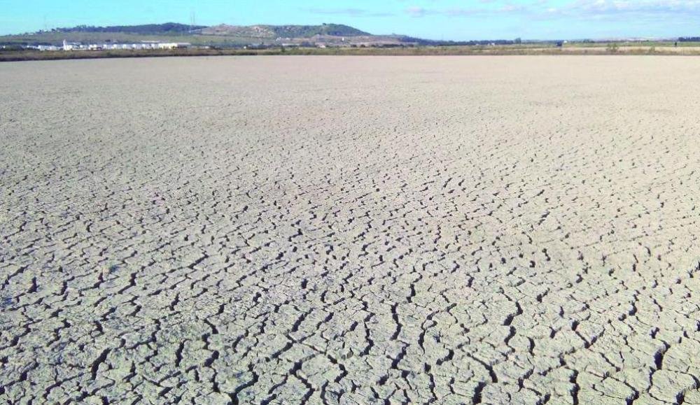 Hacer frente a la salinización del suelo: Su impacto en la agricultura y cómo prevenirla