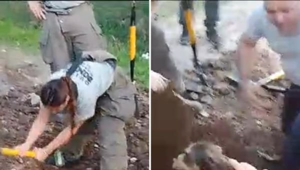 Bomberos rescataron a un perro atrapado en la alcantarilla