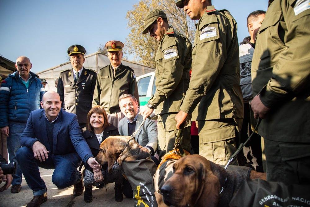 Martiniano Molina: "Voy a trabajar para que Bullrich sea presidente y Grindetti gobernador"