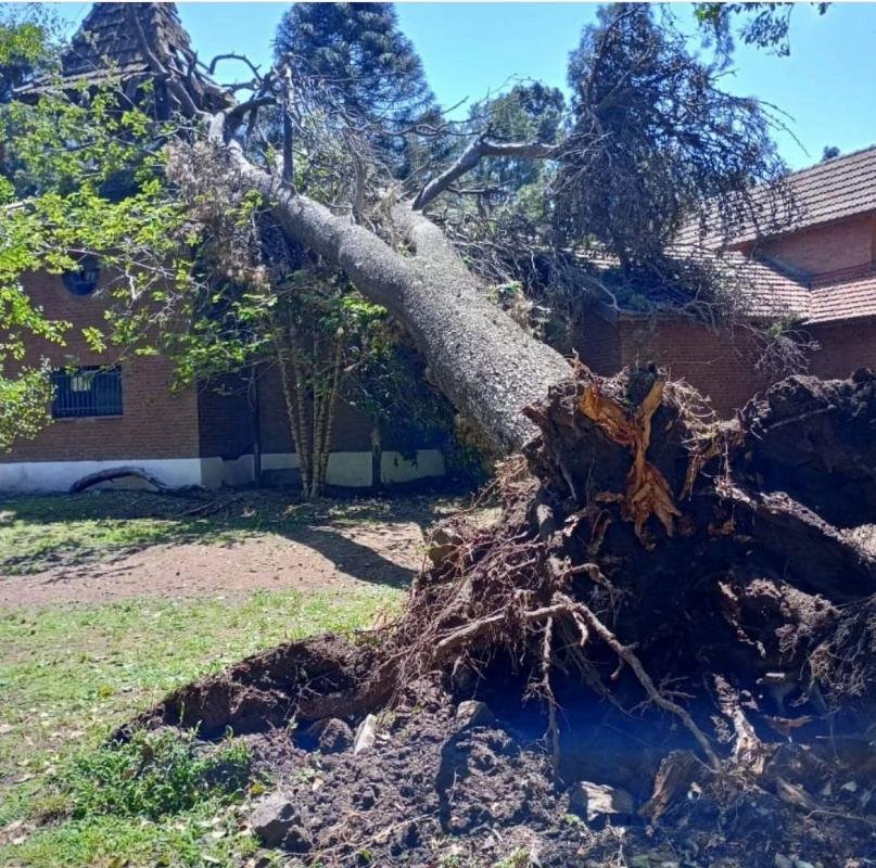 Un árbol cayó sobre el techo del Museo del Transporte y provocó destrozos