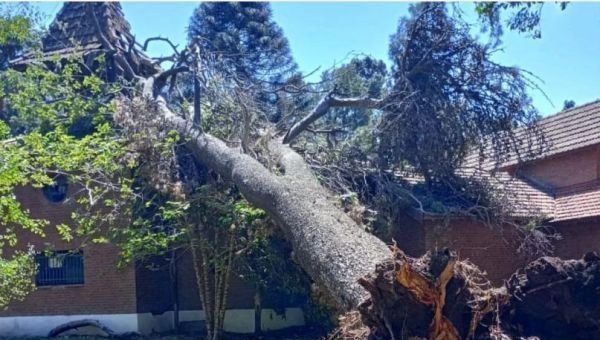 Un árbol cayó sobre el techo del Museo del Transporte y provocó destrozos