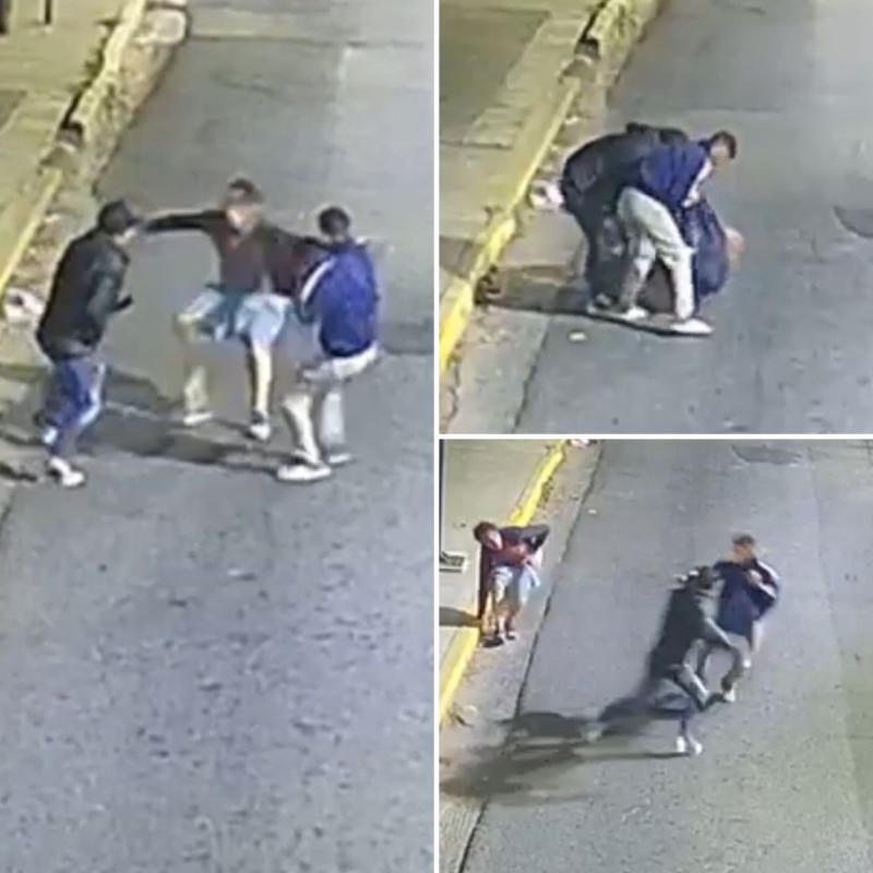 Gracias a las cámaras de seguridad detuvieron a un sujeto que robó una mochila
