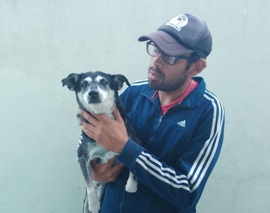 Proponen la creación del "Partido Animalista" de Quilmes