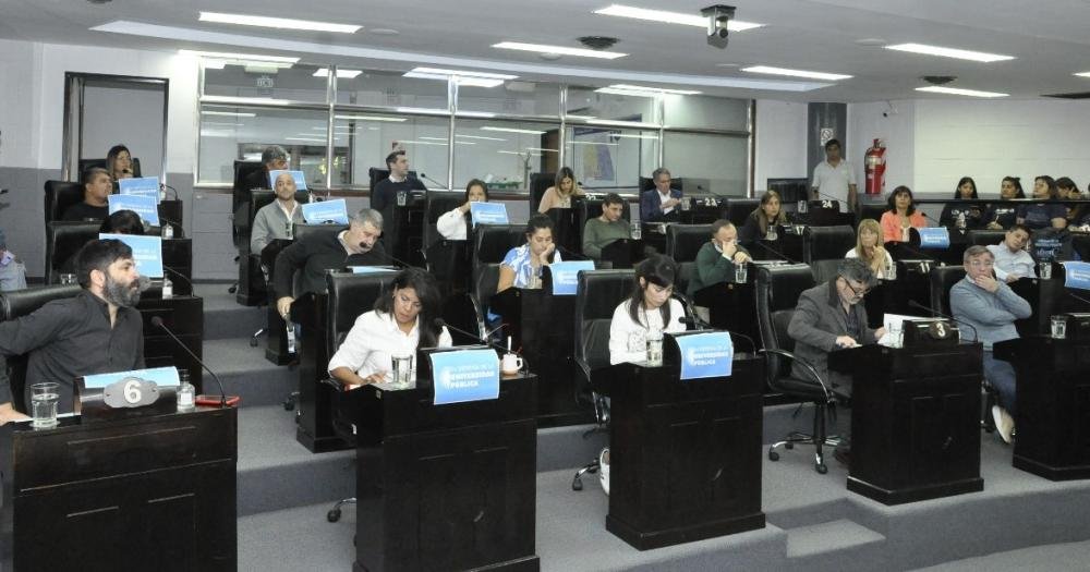 La marcha universitaria marcó el eje de la sesión en el HCD