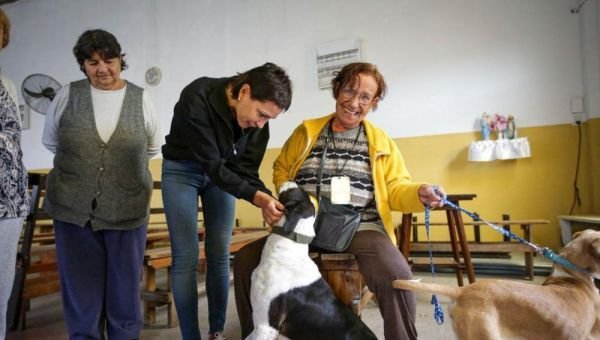 Mayra Mendoza participó de un nuevo operativo de castración y vacunación de animales
