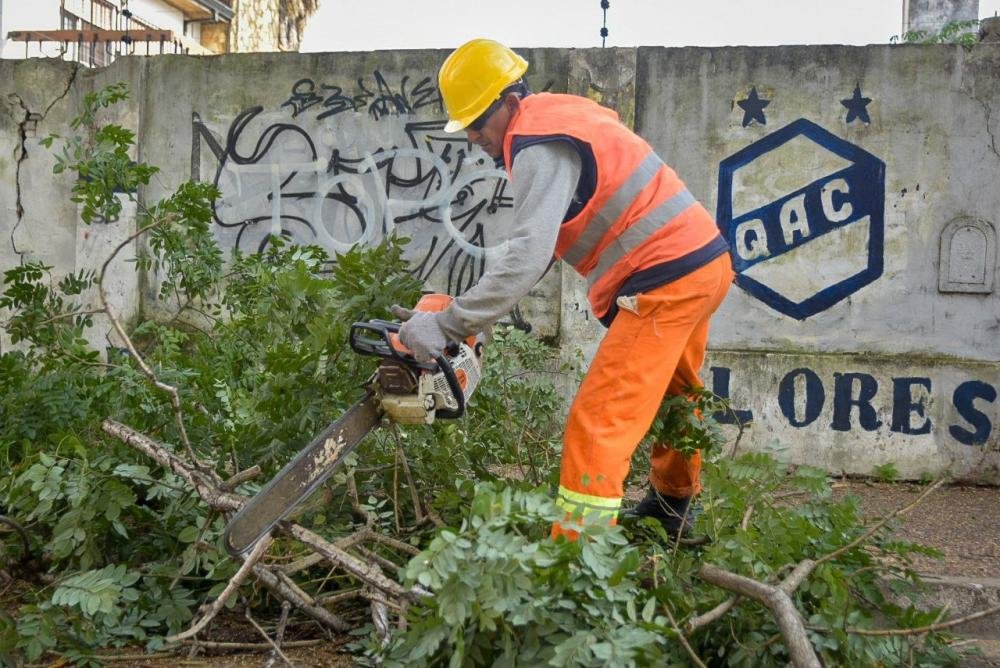 El Municipio continúa con las tareas de poda correctiva