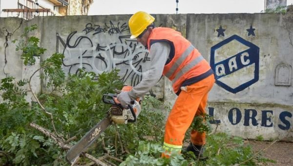 El Municipio continúa con las tareas de poda correctiva