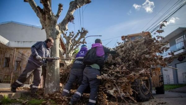 Continúan los operativos de limpieza y levantamiento de ramas
