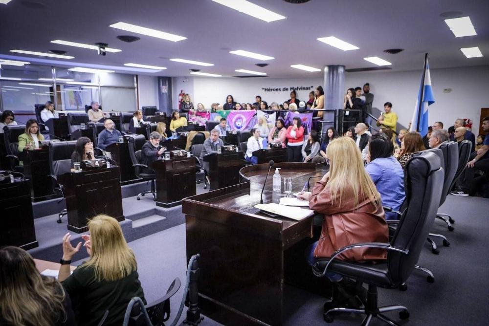 El HCD sesionó durante más de dos horas en medio de un tenso clima en el recinto