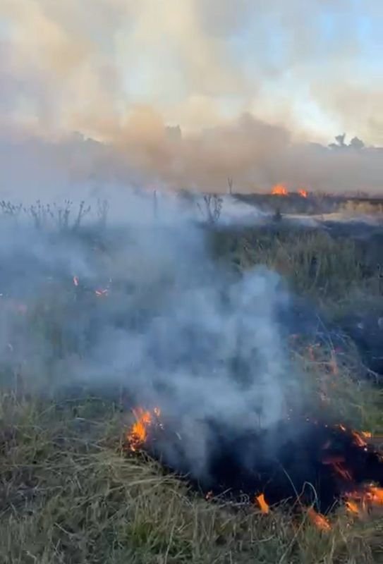 Bomberos intervinieron en un nuevo incendio en el "Campo del Alemán"