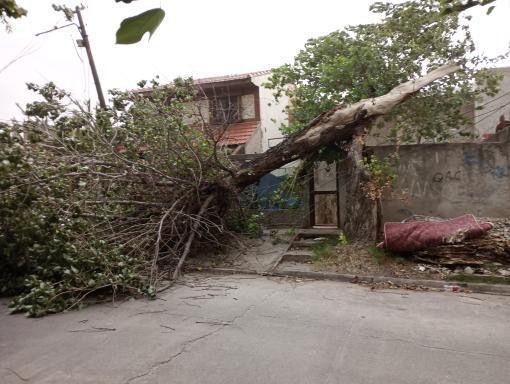 Temporal de granizo y fuertes vientos: Destrozos y cortes de luz en varios barrios