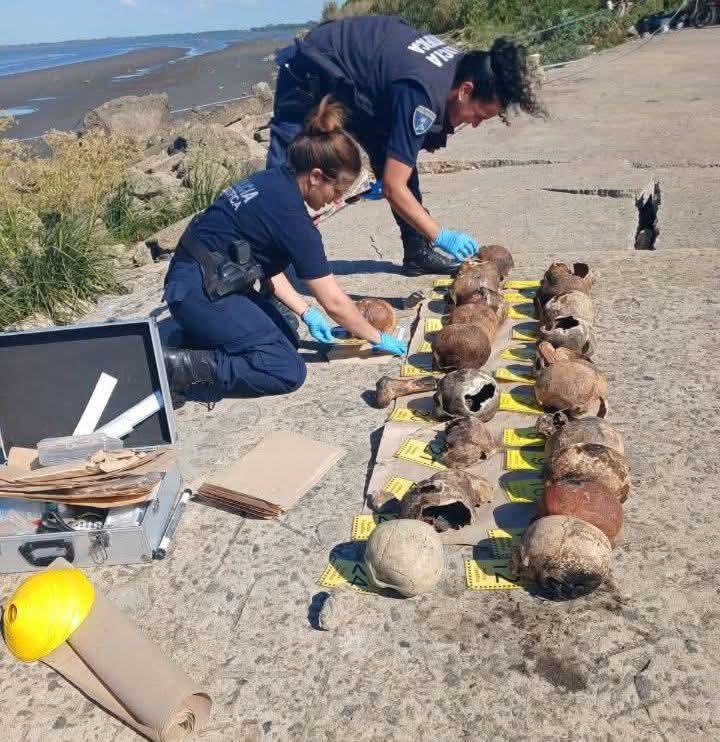 Macabro hallazgo en La Ribera: encontraron 24 cráneos humanos