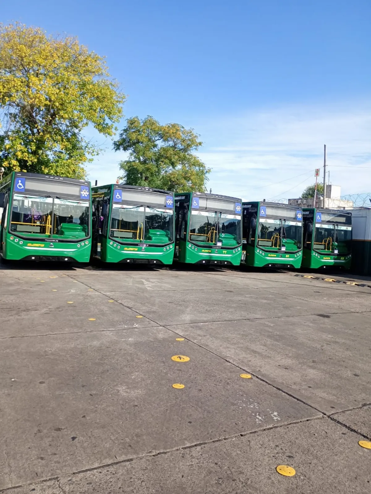 La Línea 85 de colectivos suma nuevas unidades 0 km y mejora su flota