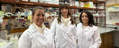 ¿Curar sin dolor?: Científicas de la UNQ desarrollan un apósito que acelera la cicatrización