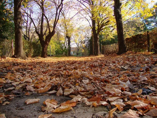 Clima en Quilmes: El fin de semana llega con temperaturas otoñales y sin lluvias