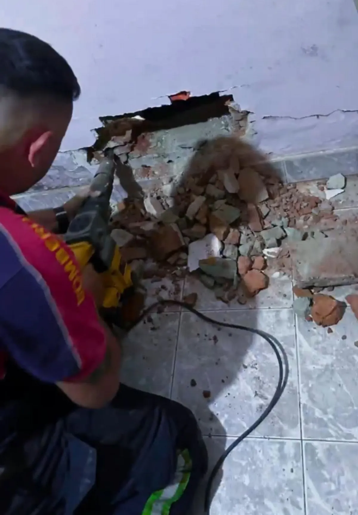 Rescate conmovedor en Bernal: Bomberos salvan a un perro atrapado en una medianera