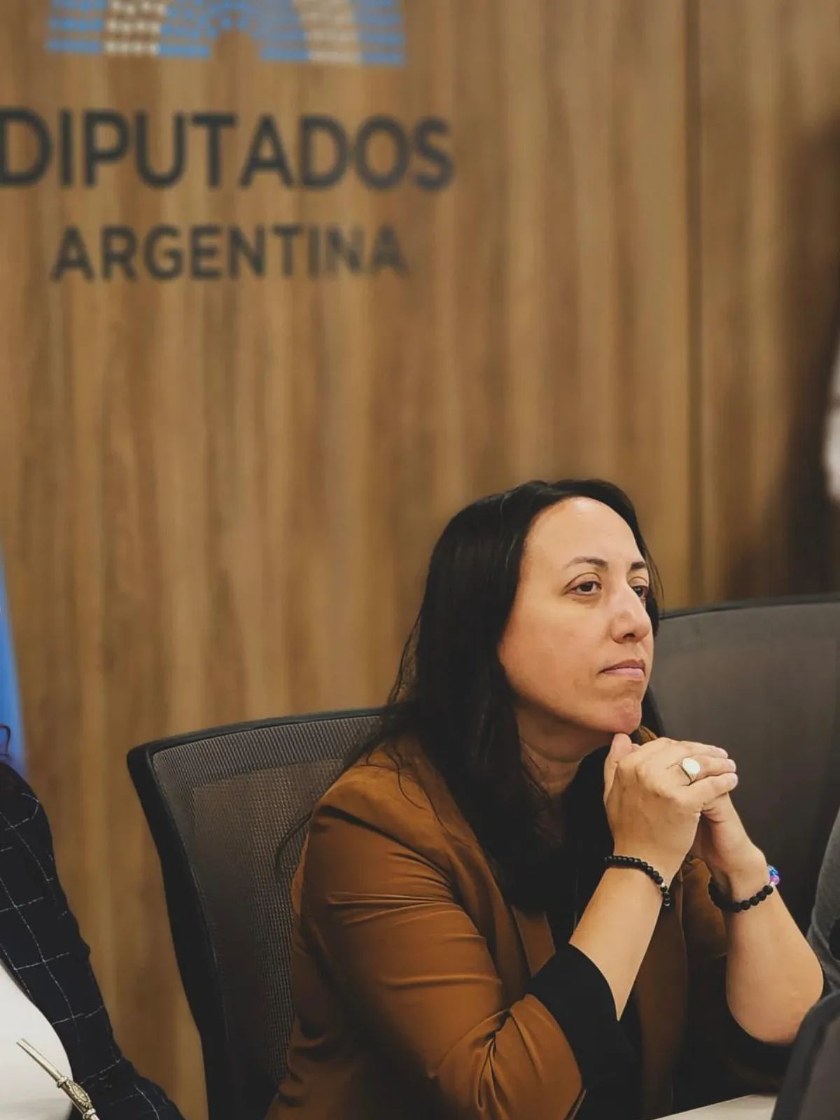 La diputada Maru Sotolano calificó de 