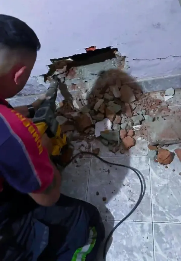 Rescate conmovedor en Bernal: Bomberos salvan a un perro atrapado en una medianera