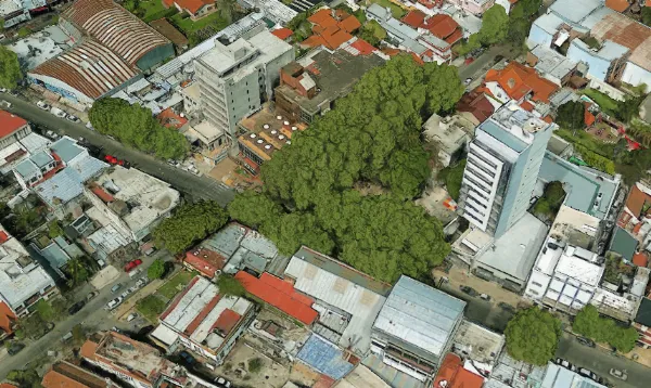 Lanzan una campaña para conservar el único espacio verde del centro de Bernal