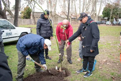 Plantan árboles nativos en el Parque de la Cervecería como parte de un plan ambiental