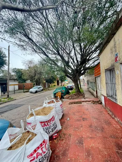 Vecinos alertan por un árbol de gran tamaño que representa un serio peligro