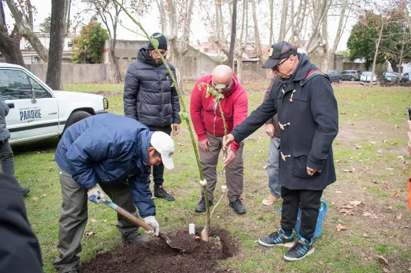 Plantan árboles nativos en el Parque de la Cervecería como parte de un plan ambiental