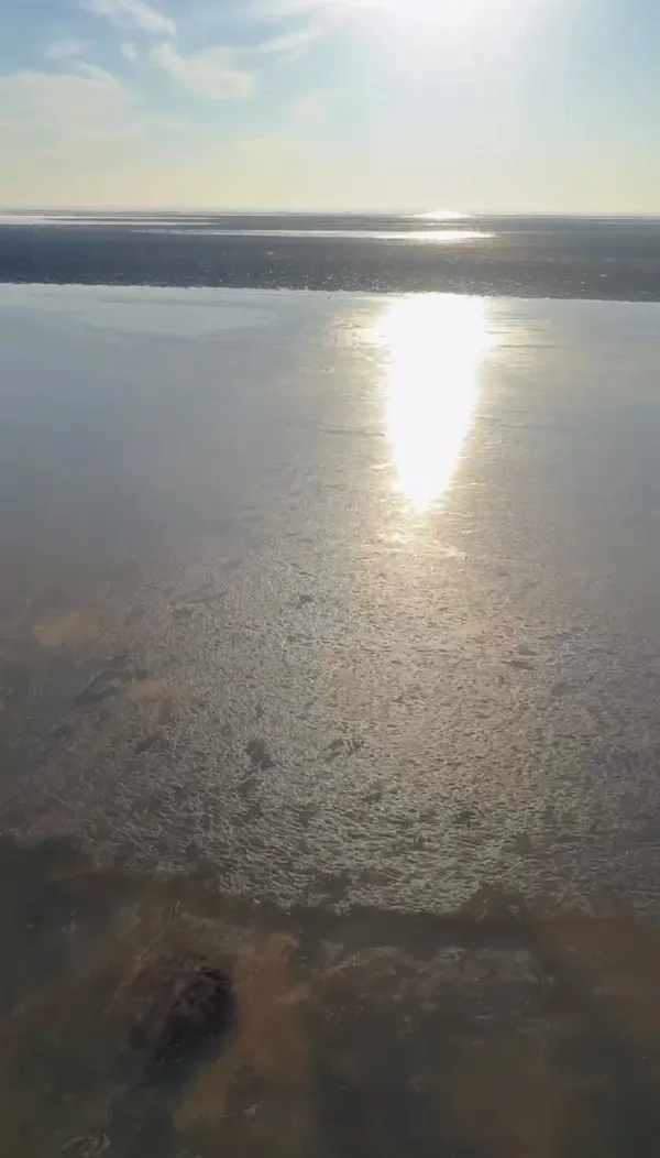No es Canadá: El río amaneció congelado en Quilmes y causó furor en redes