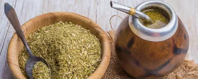 Científicos de la UNQ descubren que la yerba mate ayuda a cicatrizar heridas