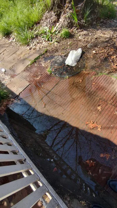 Vecinos de Villa Argentina reclaman por cloacas desbordadas y falta de respuestas