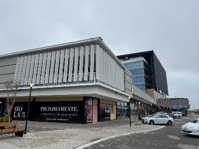 Roinich apuesta a proyectos de gran escala