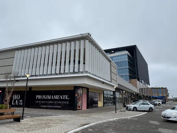 Roinich apuesta a proyectos de gran escala