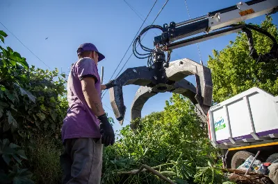 Recolección de residuos voluminosos: Intensas tareas en Ezpeleta Oeste