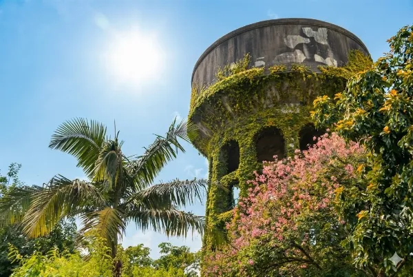 Alerta amarilla por altas temperaturas: Hoy será el día más caluroso de la semana