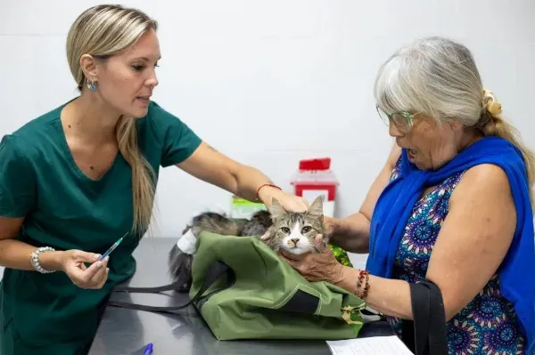 Servicios gratuitos en la Veterinaria Municipal de Quilmes