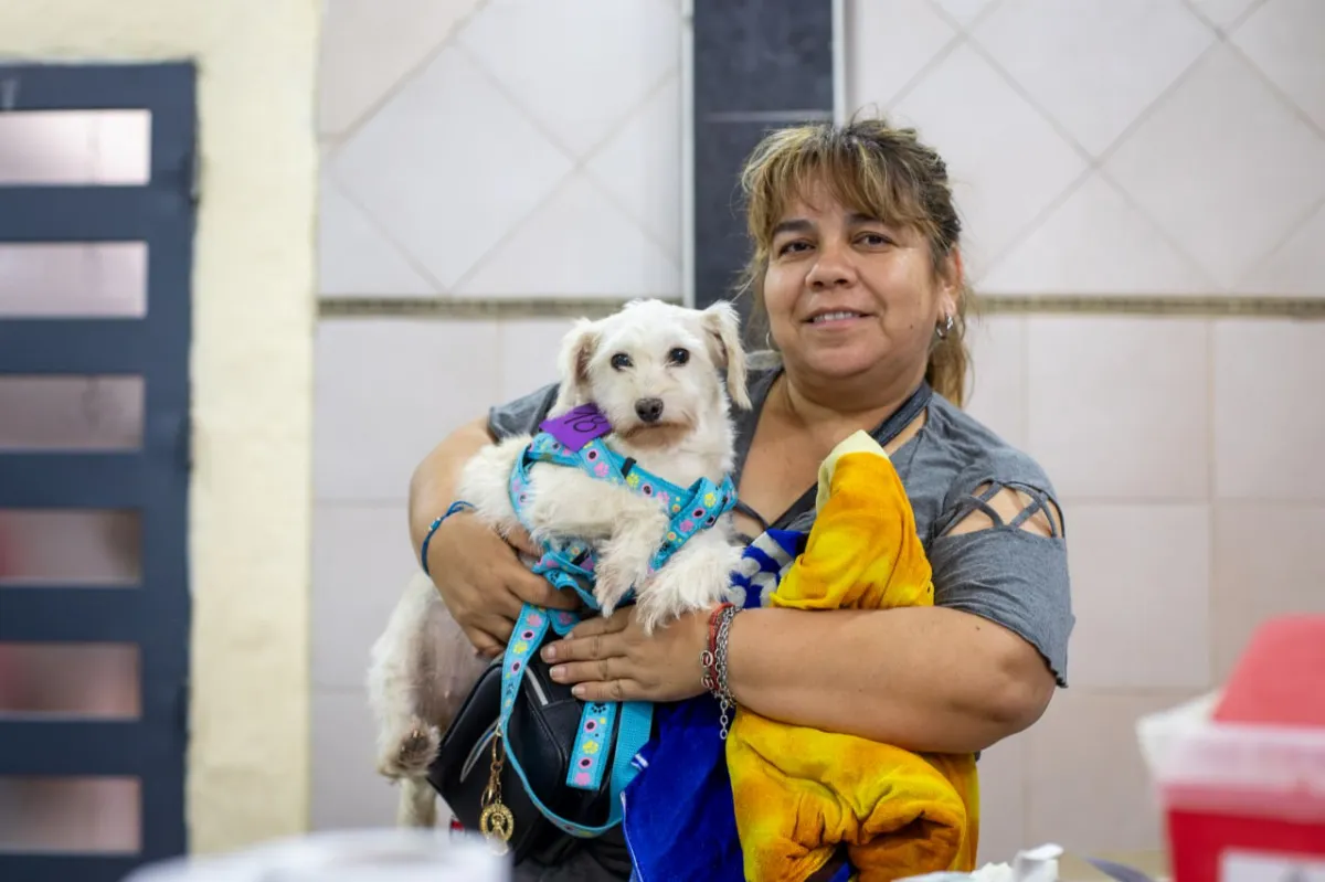 Intenso operativo de Zoonosis con castraciones y vacunación antirrábica en Solano