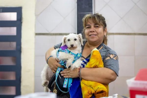 Intenso operativo de Zoonosis con castraciones y vacunación antirrábica en Solano