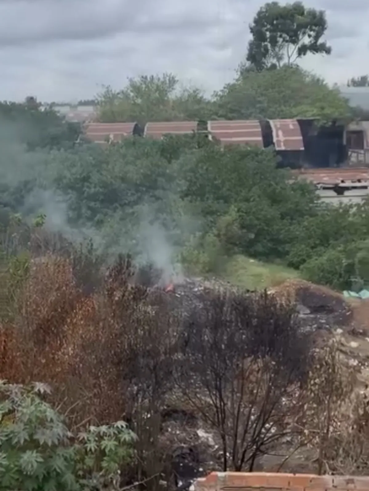 Preocupación vecinal por un incendio persistente en un descampado de Quilmes Oeste