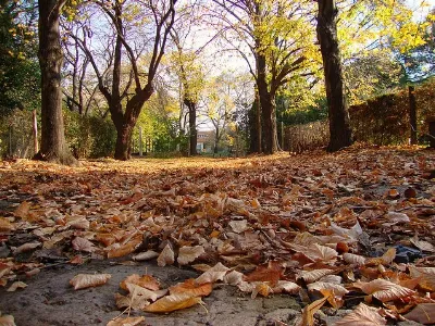 Quilmes despide el calor: Llegan las mañanas frescas y un fin de semana otoñal