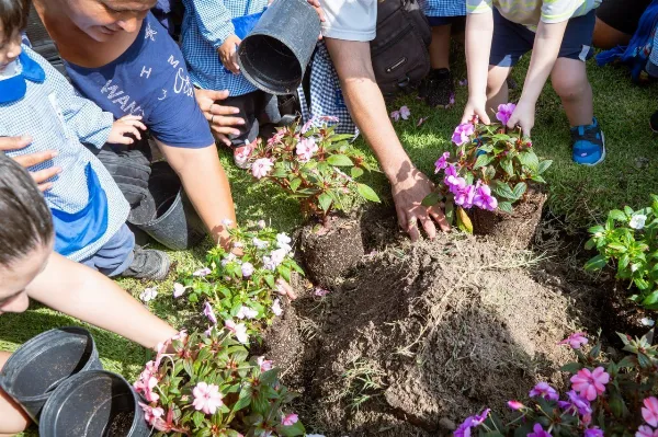 "Quilmes Respira 2026": Plantaron 20 árboles en el parque municipal de La Ribera