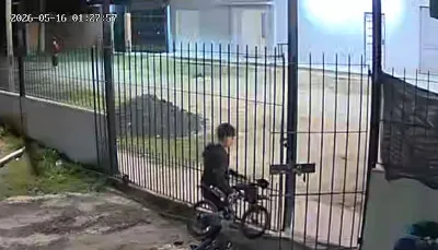 Menores a caballo quedaron filmados robando una bicicleta y un casco