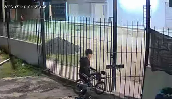 Menores a caballo quedaron filmados robando una bicicleta y un casco