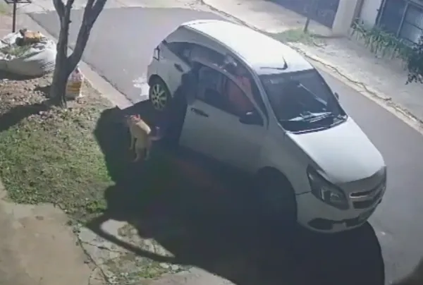 Indignante: Captaron en video el abandono de un perrito