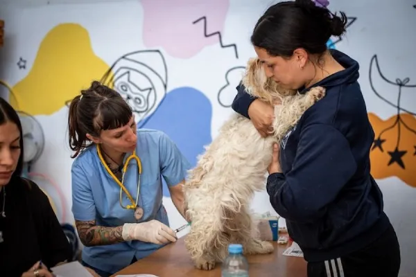 Zoonosis realizará operativos gratuitos de castración y vacunación antirrábica durante agosto