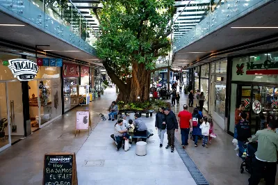 9 de cada 10 personas recomendaría un Centro Comercial de Servicios: cercanía y tranquilidad marcan la tendencia