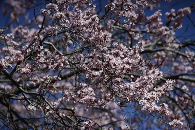 La primavera llegó con frío a Quilmes: cuándo comenzará a subir la temperatura