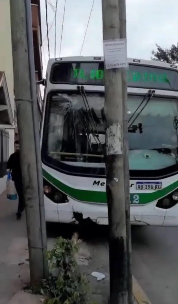 Colectivo chocó contra un poste de luz y dejó a vecinos sin servicio eléctrico
