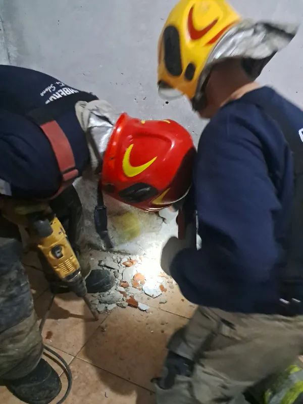 Bomberos rescataron a un perro que quedó atrapado en una medianera